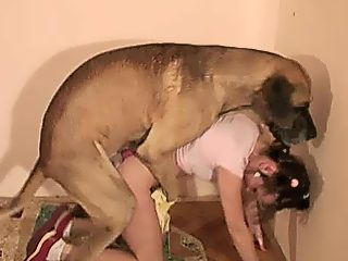 Dog And Girls Seximovies - Dog Sex - Free Porn