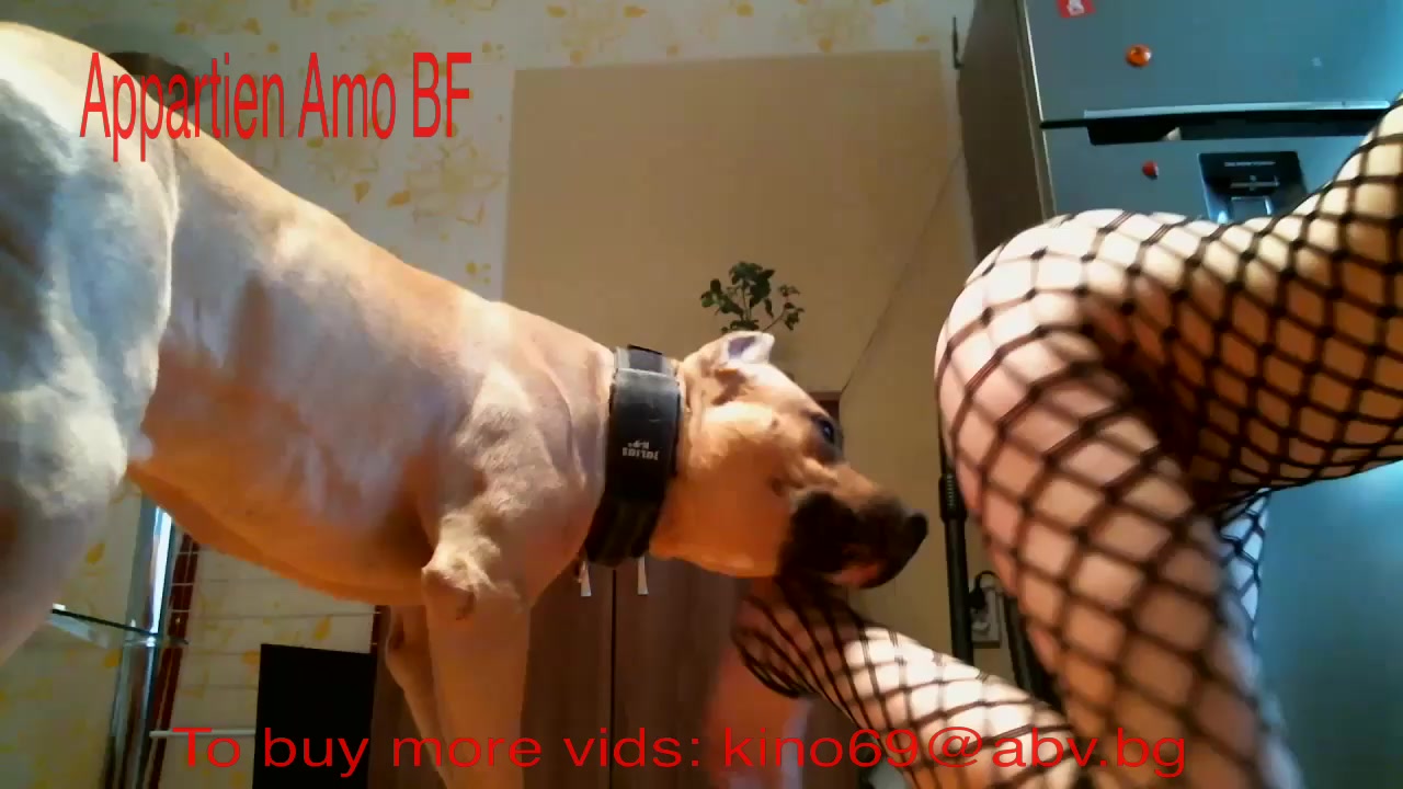 40000.jpg