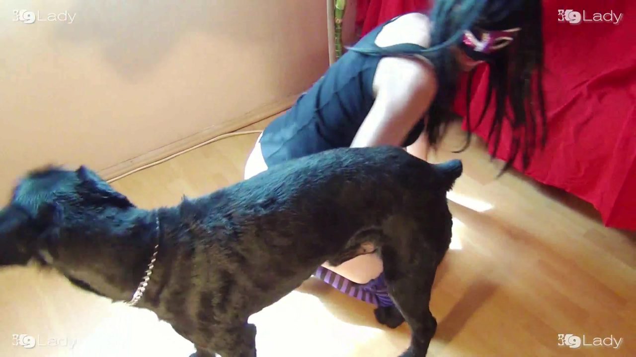 dogmovie.netdog-cock54241722.html 